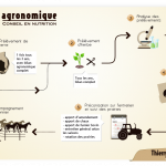 Bilan et accompagnement nutritionnel